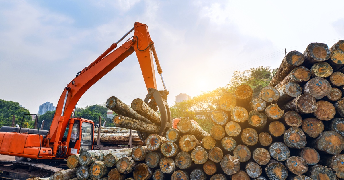 An orange log loader lifts heavy timber beside a large stack of cut logs at an outdoor lumber yard in the sunlight.