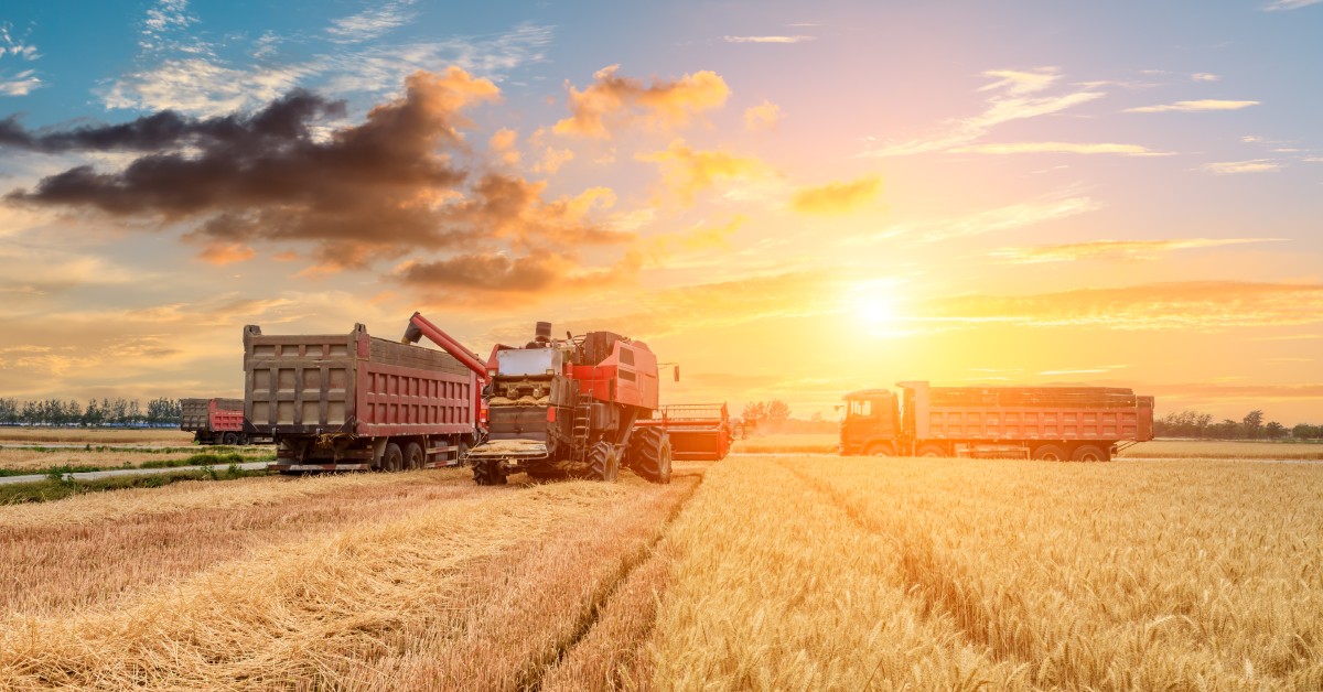 A combine harvester transfers wheat into a red dump truck, with golden fields and a vibrant orange sky in the background.